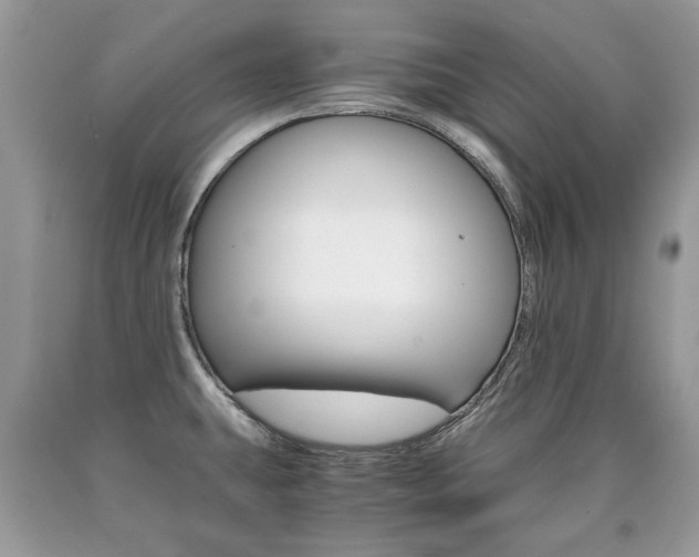 X0000090701431200707200918