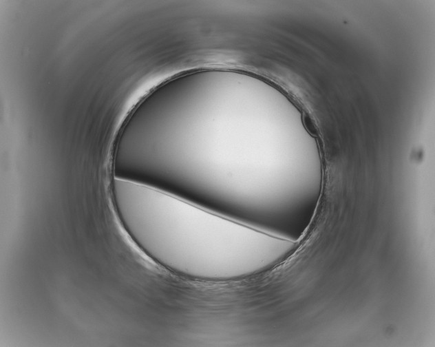 X0000090701432200707200918
