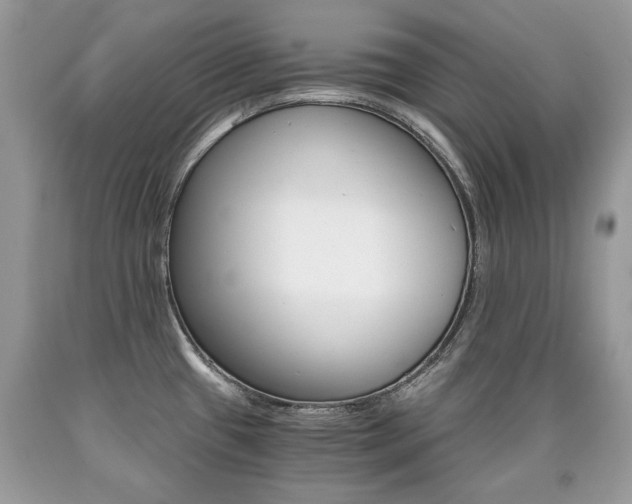 X0000090701433200707200918