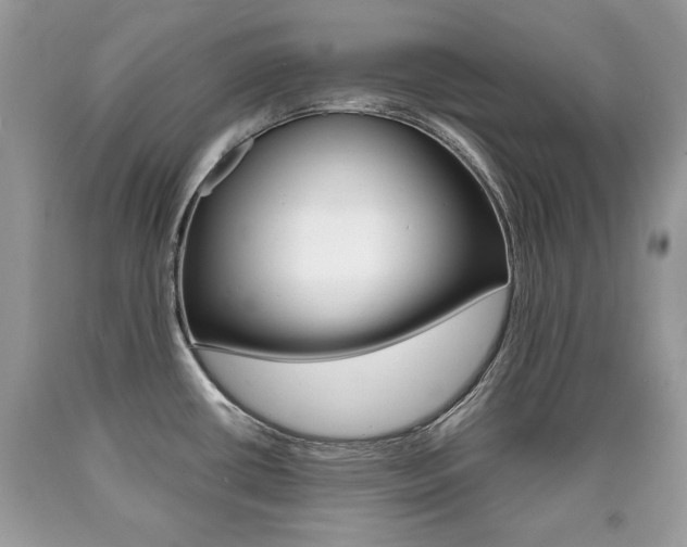X0000090701434200707200918