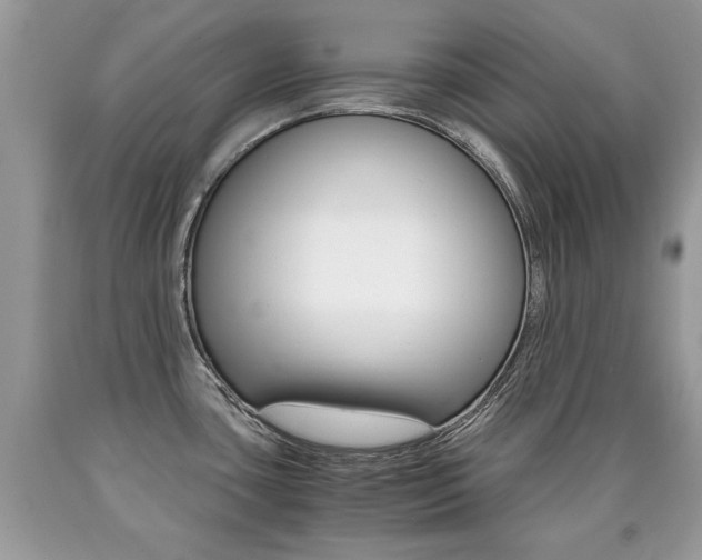 X0000090701435200707200918