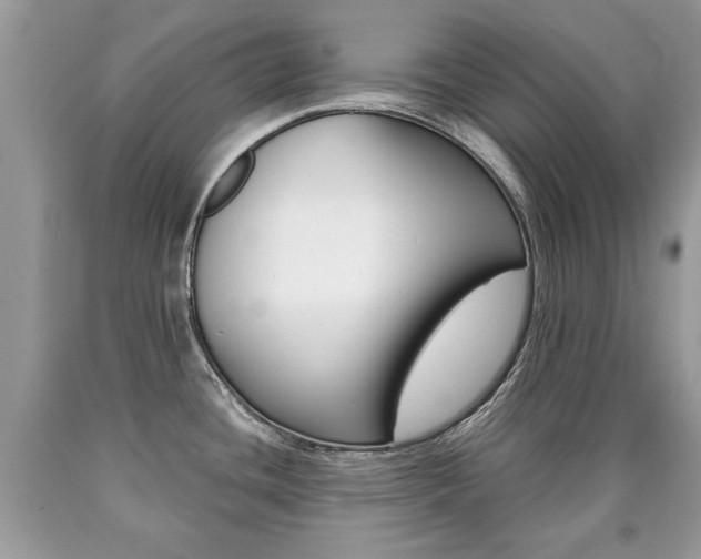 X0000090701436200707200918