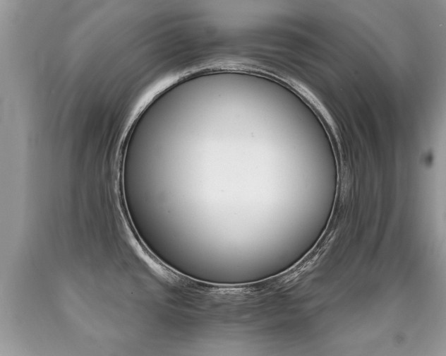 X0000090701437200707200918
