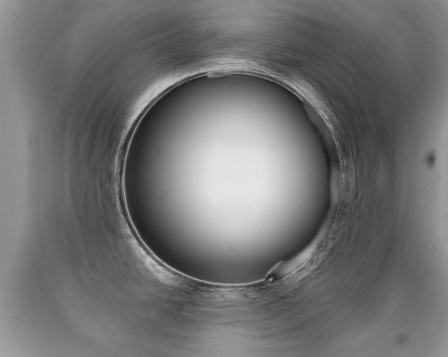 X0000090701438200707200918