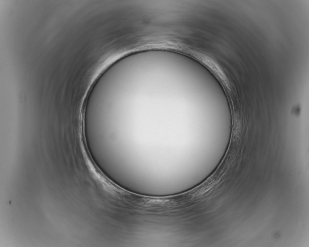 X0000090701439200707200918