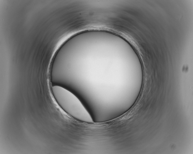 X0000090701440200707200918