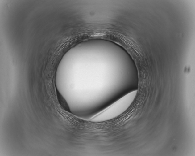 X0000090701441200707200918