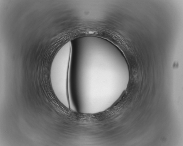 X0000090701442200707200918