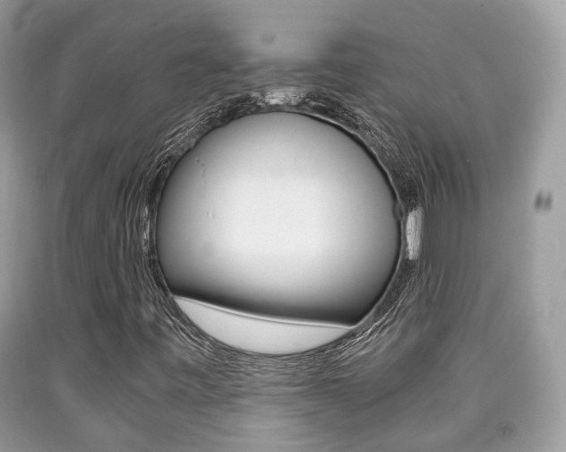X0000090701443200707200918