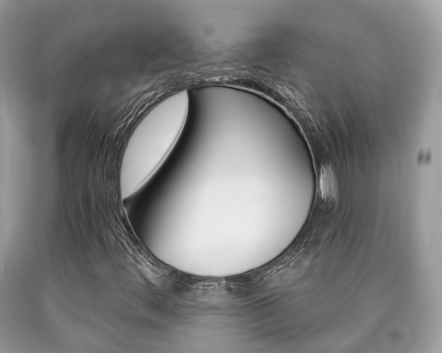 X0000090701444200707200918