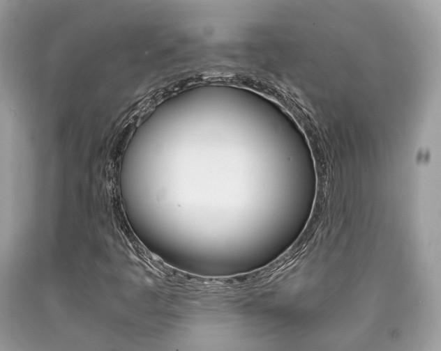 X0000090701445200707200918