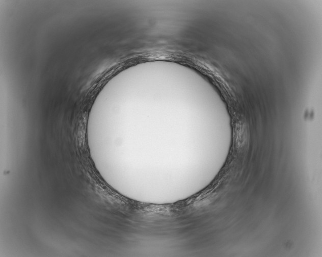 X0000090701446200707200918