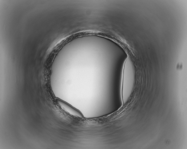 X0000090701448200707200918
