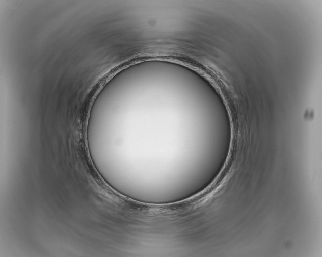 X0000090701449200707200918