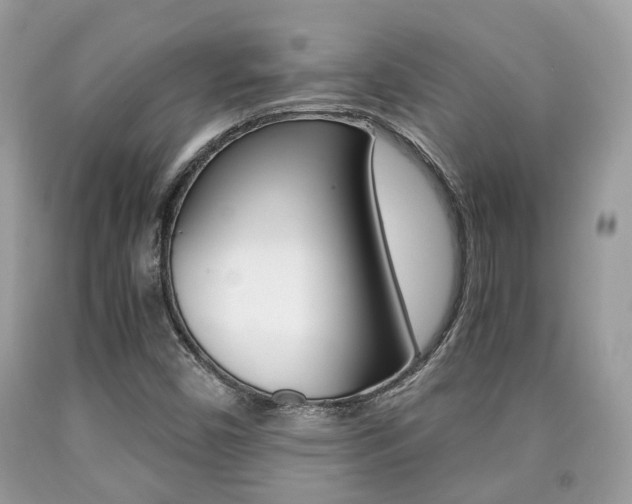 X0000090701450200707200918