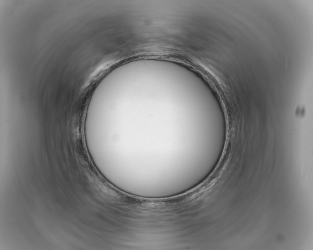 X0000090701451200707200918
