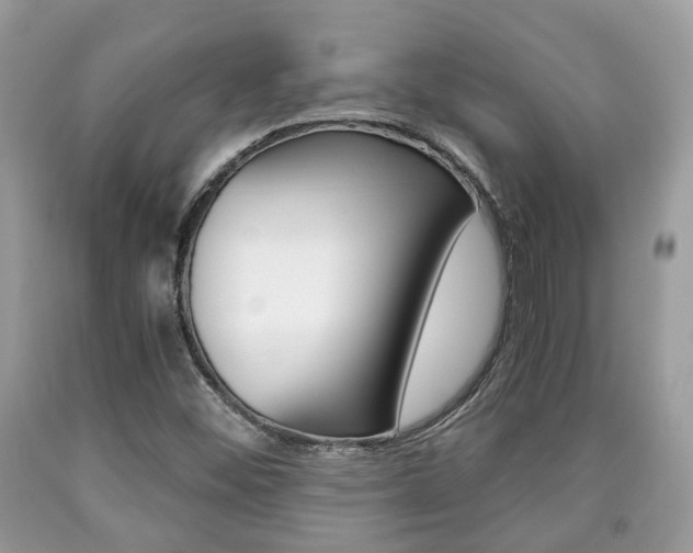 X0000090701452200707200918