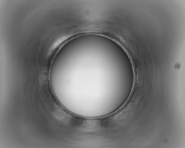 X0000090701453200707200918