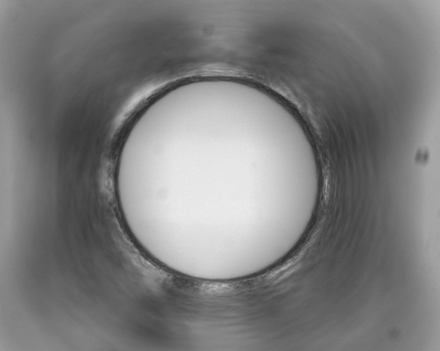 X0000090701454200707200918