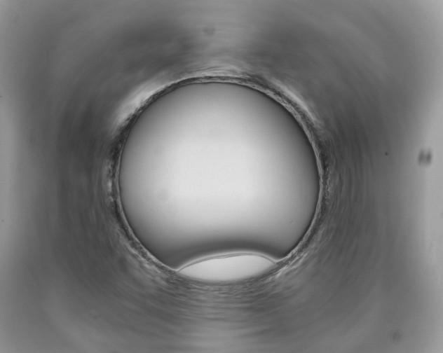 X0000090701455200707200918