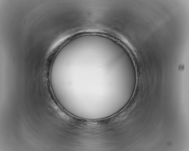 X0000090701456200707200918