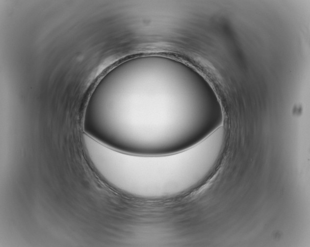 X0000090701457200707200918