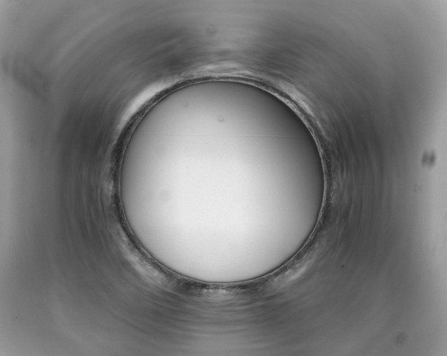 X0000090701458200707200918