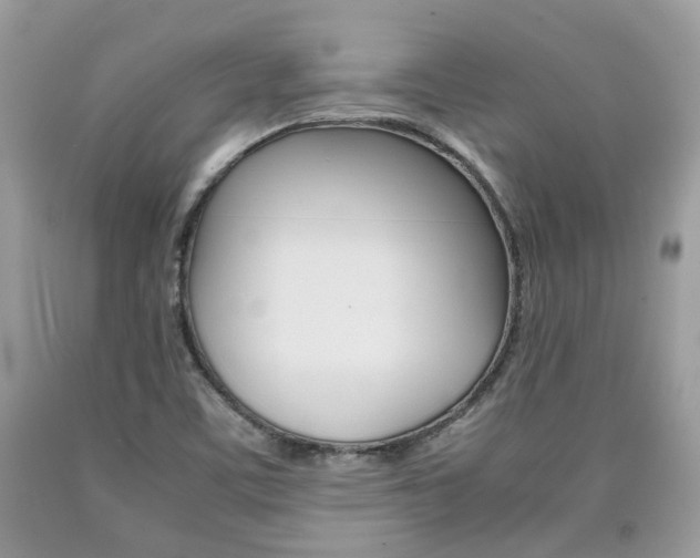 X0000090701459200707200918