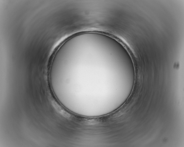 X0000090701460200707200918