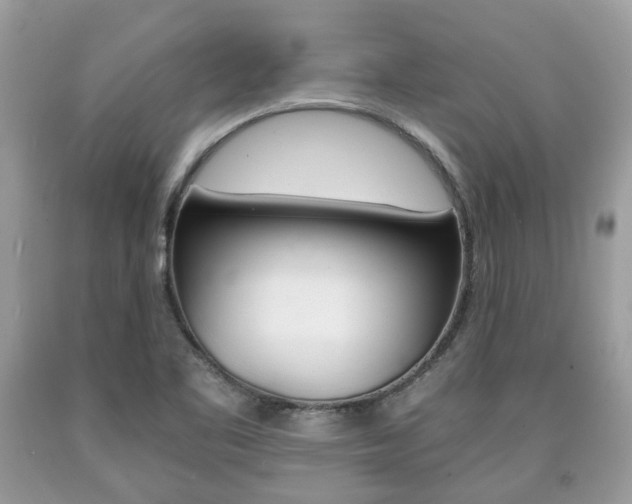 X0000090701461200707200918