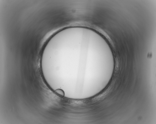 X0000090701462200707200918