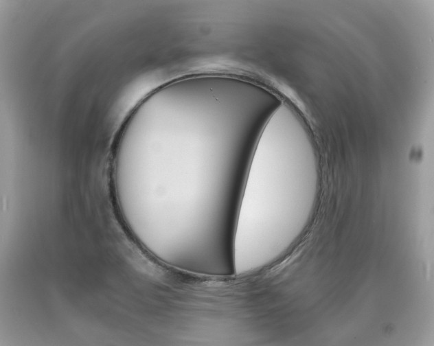 X0000090701463200707200918