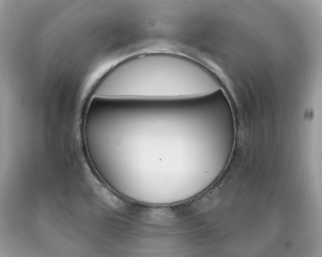 X0000090701464200707200917