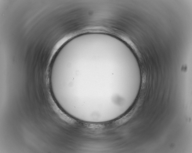 X0000090701466200707200917