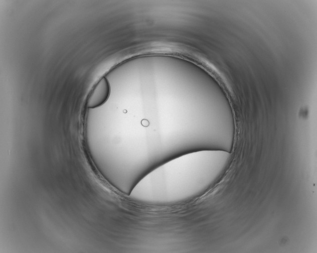 X0000090701467200707200917