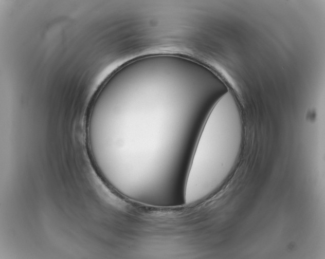 X0000090701468200707200917