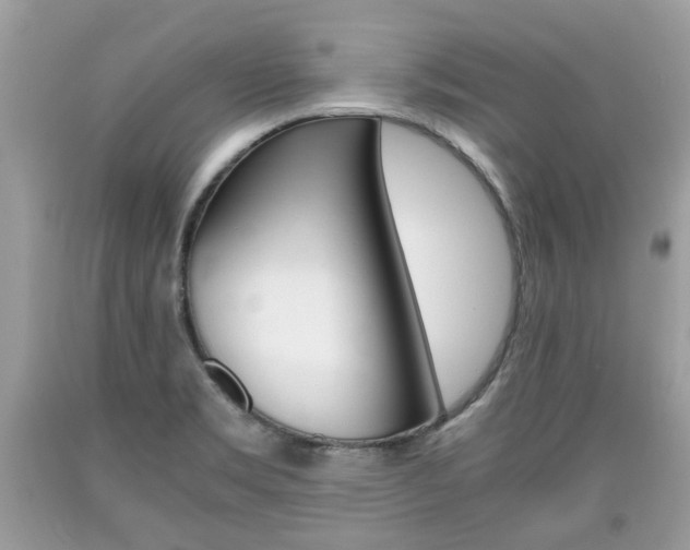 X0000090701469200707200917