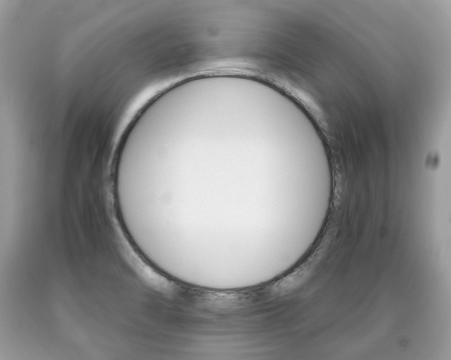 X0000090701470200707200917