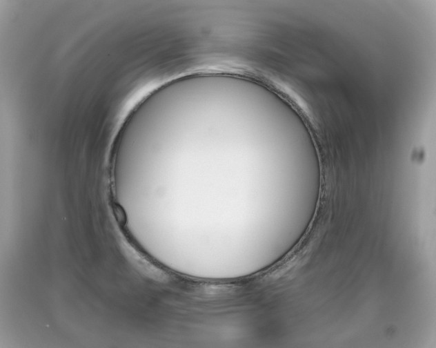 X0000090701471200707200917