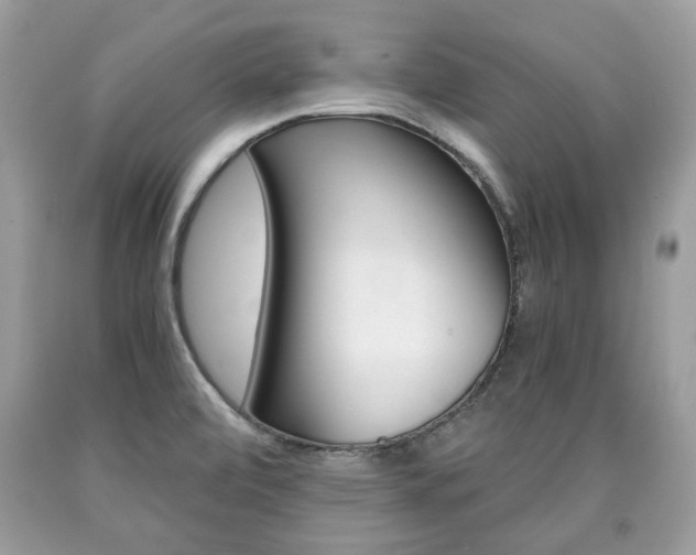 X0000090701472200707200917