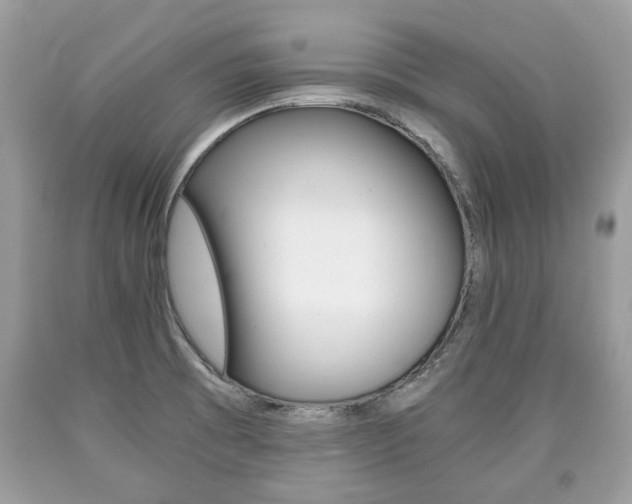 X0000090701473200707200917