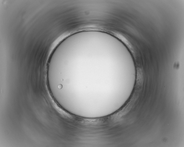 X0000090701474200707200917