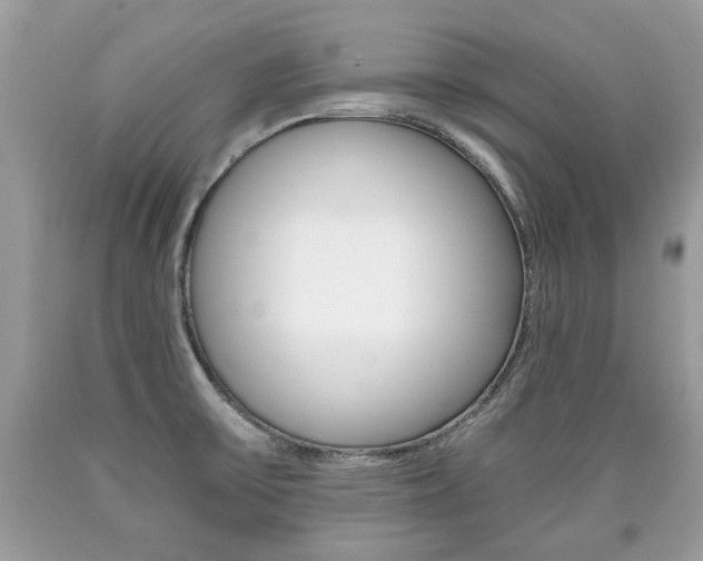 X0000090701475200707200917
