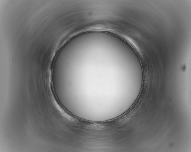 X0000090701476200707200917