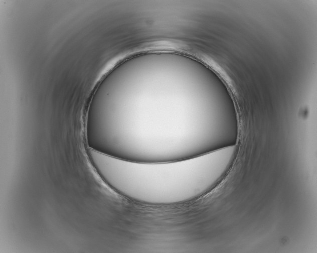 X0000090701477200707200917