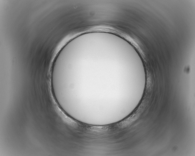 X0000090701478200707200917