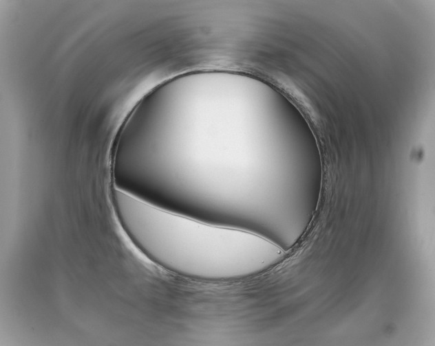 X0000090701479200707200917