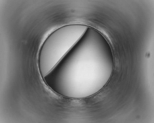 X0000090701480200707200917
