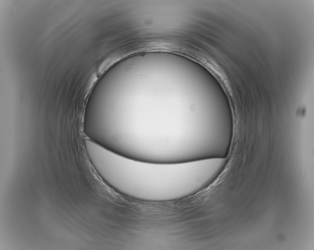 X0000090701481200707200917