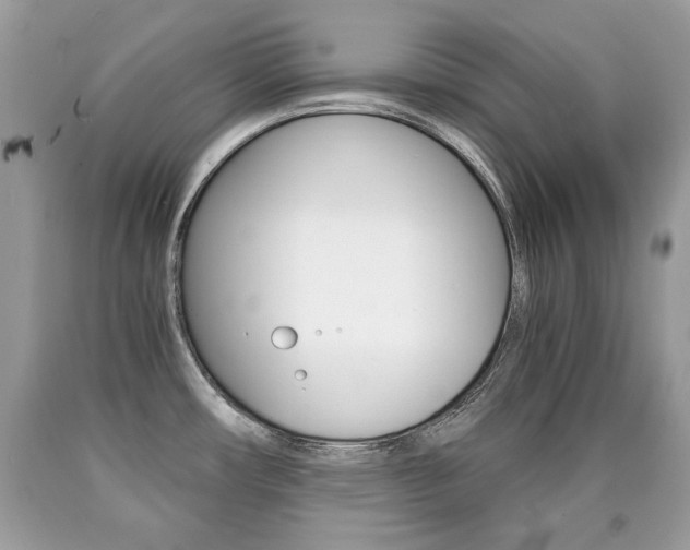 X0000090701482200707200917